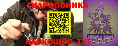 стаф Малгобек
