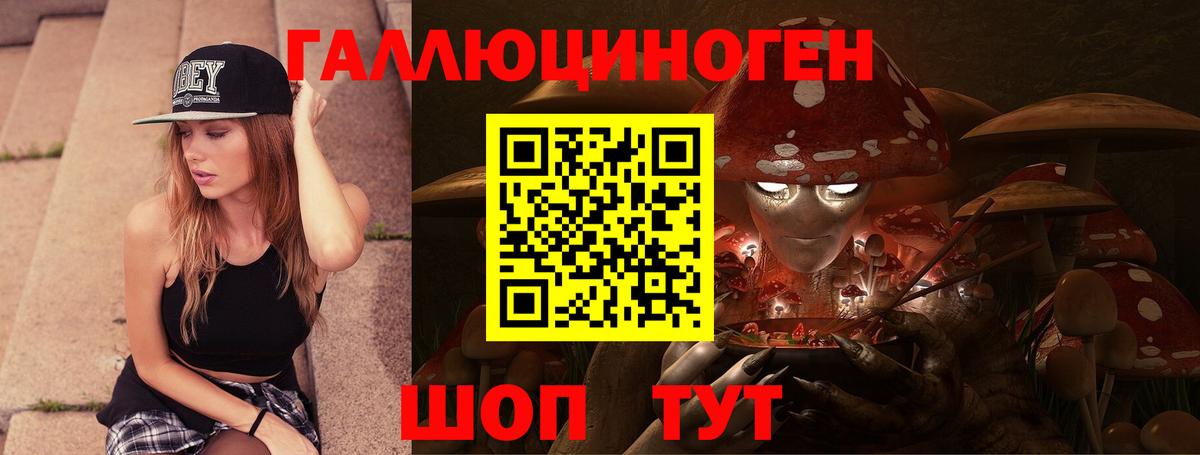 Усть-Джегута  Галлюциногенные грибы Psilocybine cubensis  Вход с VPN 